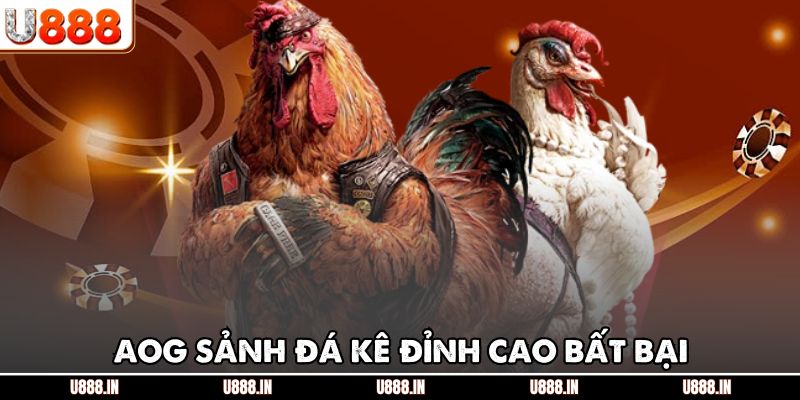 AOG sảnh đá kê đỉnh cao bất bại