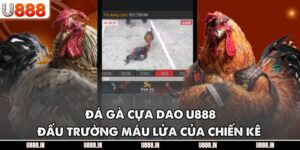 Đá Gà Cựa Dao U888 – Đấu Trường Máu Lửa Của Chiến Kê