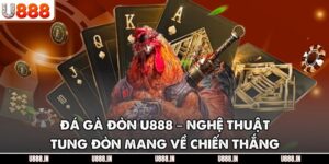 Đá Gà Đòn U888 – Nghệ Thuật Tung Đòn Mang Về Chiến Thắng