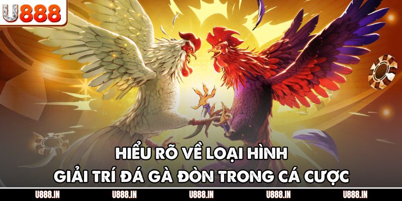 Hiểu rõ về loại hình giải trí đá gà đòn trong cá cược