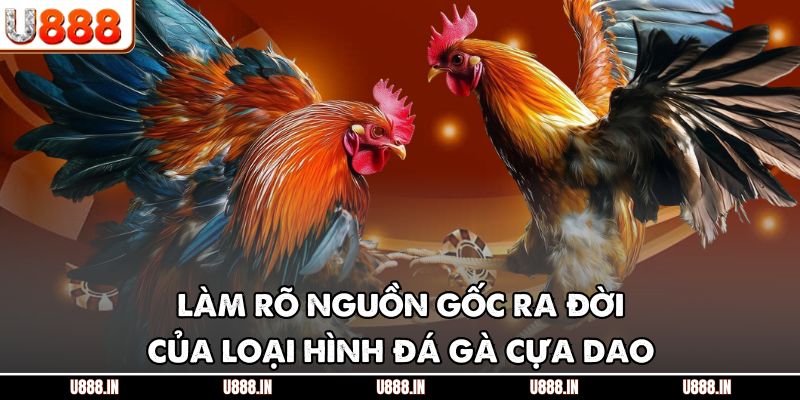 Làm rõ nguồn gốc ra đời của loại hình đá gà cựa dao