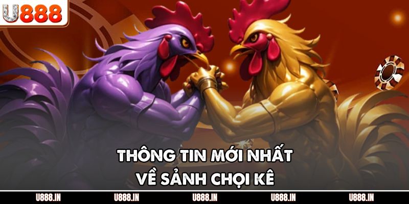 Thông tin mới nhất về sảnh chọi kê